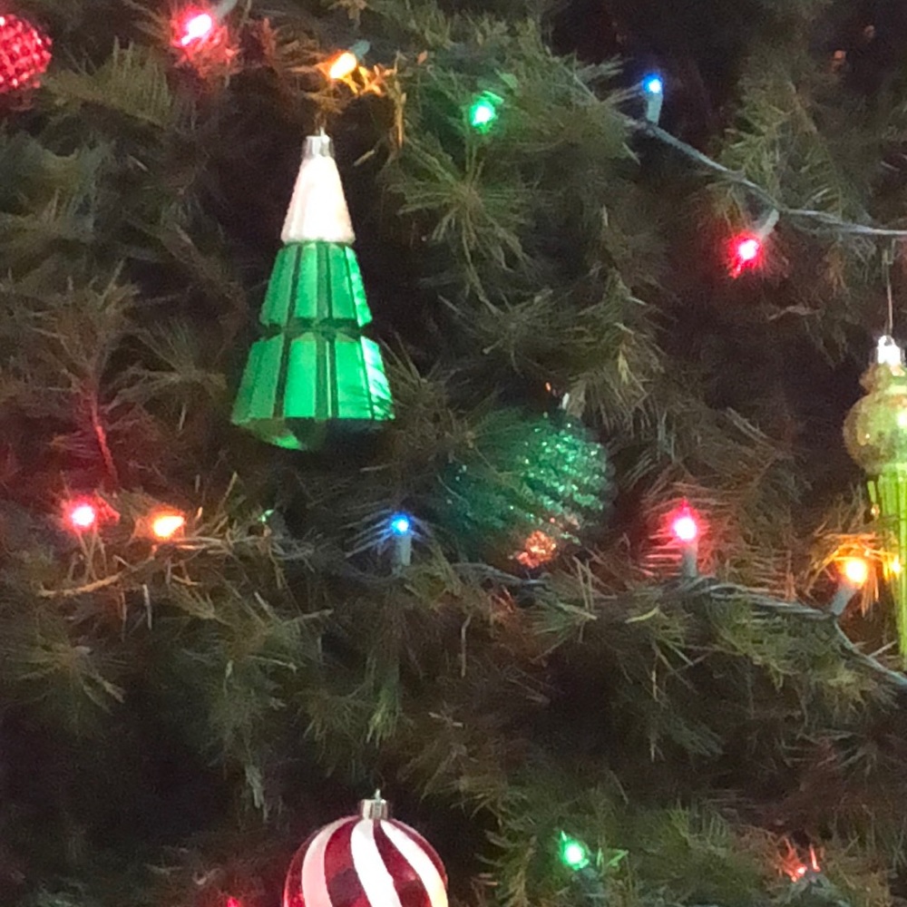 Meet your Posher, Janet